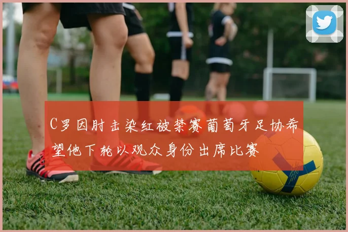 C罗因肘击染红被禁赛葡萄牙足协希望他下轮以观众身份出席比赛