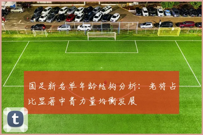 国足新名单年龄结构分析：老将占比显著中青力量均衡发展